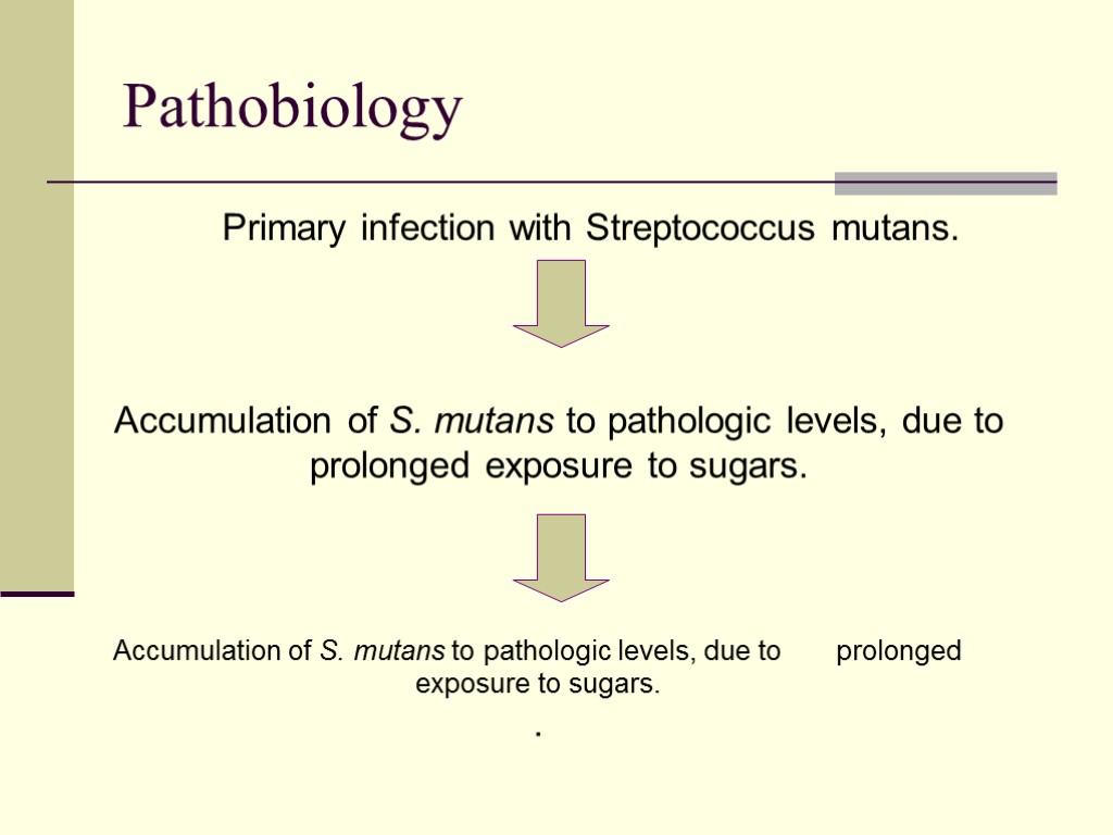 Pathobiology Primary infection with Streptococcus mutans. Accumulation of S. mutans to pathologic levels, due